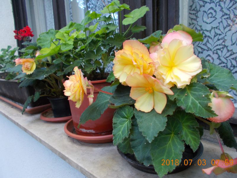 http://kepmester.silihost.hu/images/279/10673/00000463.jpg