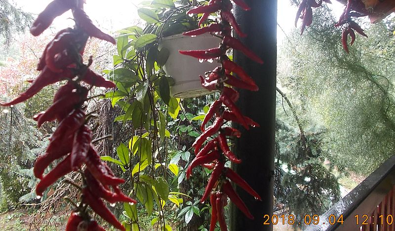 http://kepmester.silihost.hu/images/279/10673/00000478.jpg