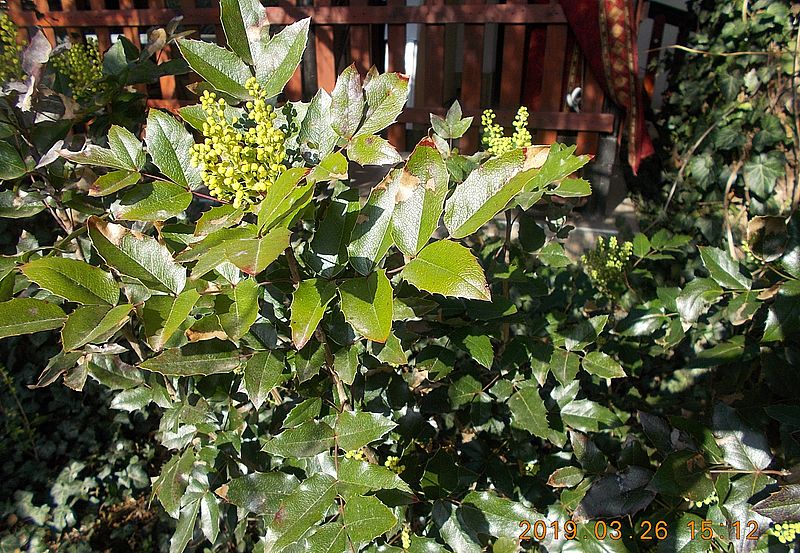 http://kepmester.silihost.hu/images/279/10673/00000536.jpg