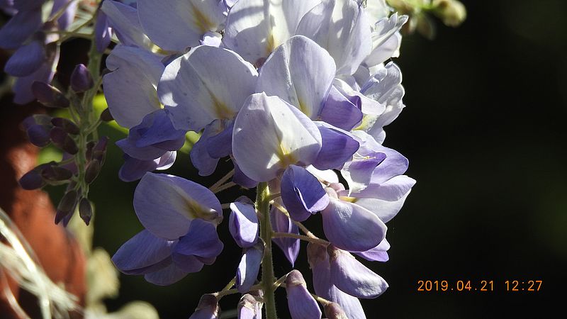 http://kepmester.silihost.hu/images/279/10673/00000548.jpg