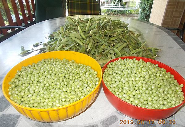 http://kepmester.silihost.hu/images/279/11065/00000019.jpg