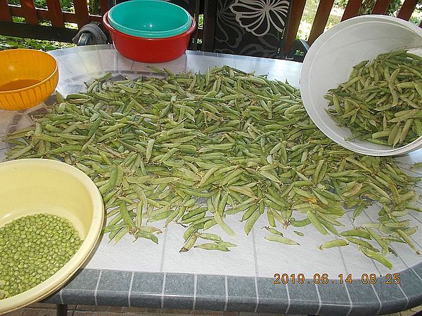 http://kepmester.silihost.hu/images/279/11065/00000020.jpg