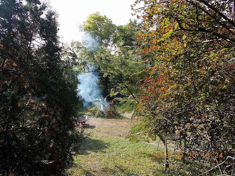 http://kepmester.silihost.hu/images/279/11065/00000071.jpg