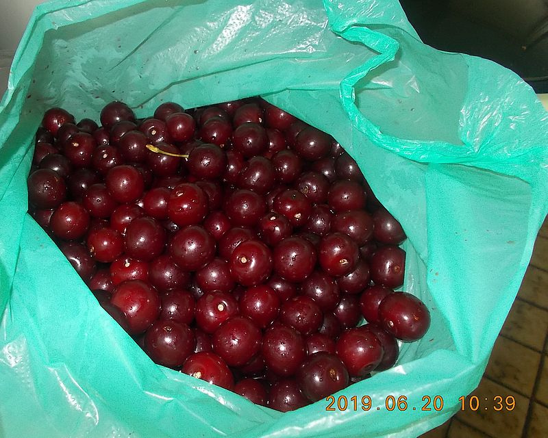 http://kepmester.silihost.hu/images/279/11070/00000003.jpg