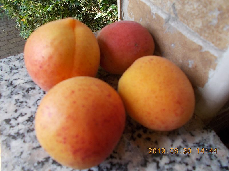 http://kepmester.silihost.hu/images/279/11070/00000012.jpg