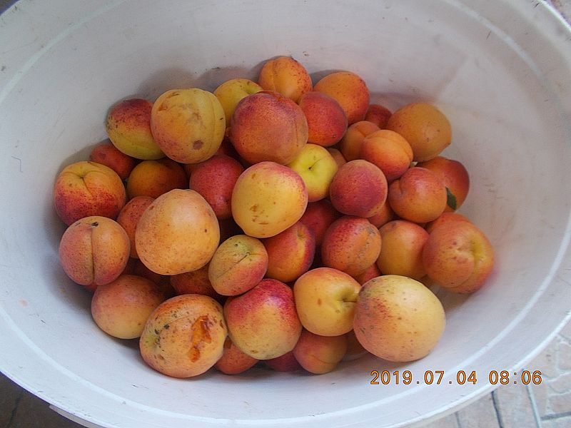 http://kepmester.silihost.hu/images/279/11070/00000019.jpg