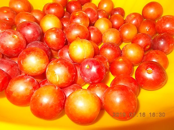 http://kepmester.silihost.hu/images/279/11070/00000035.jpg