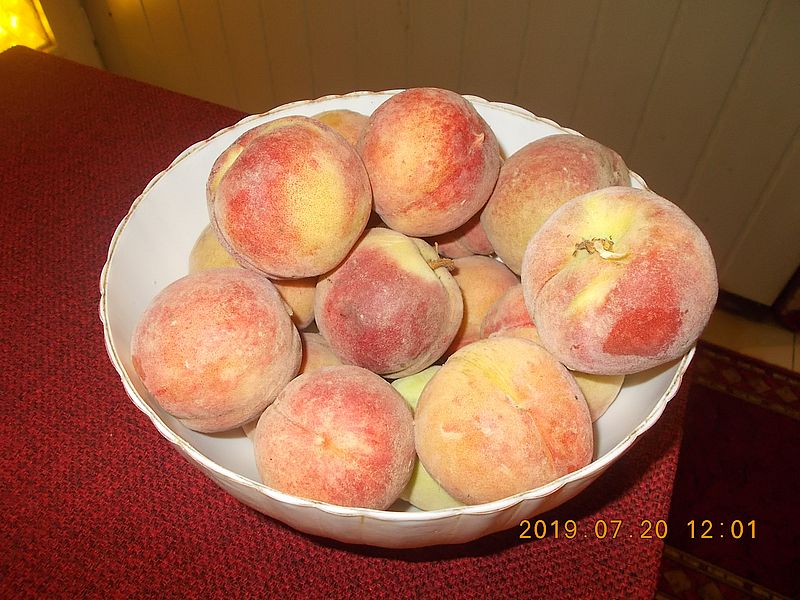 http://kepmester.silihost.hu/images/279/11070/00000041.jpg