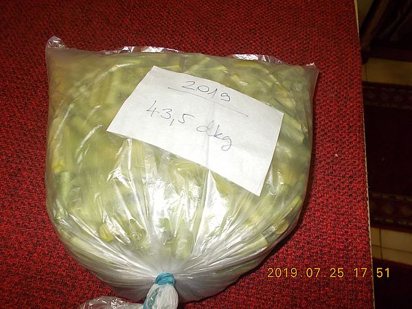http://kepmester.silihost.hu/images/279/11070/00000046.jpg