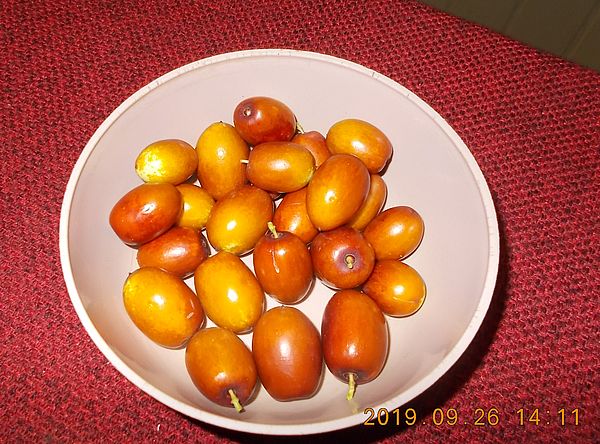 http://kepmester.silihost.hu/images/279/11070/00000089.jpg