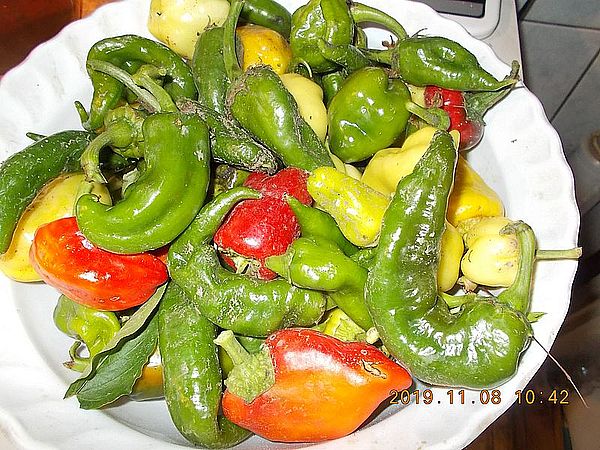http://kepmester.silihost.hu/images/279/11070/00000113.jpg