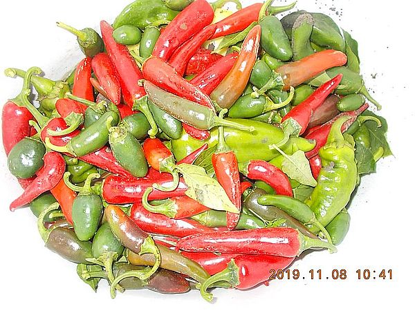 http://kepmester.silihost.hu/images/279/11070/00000114.jpg
