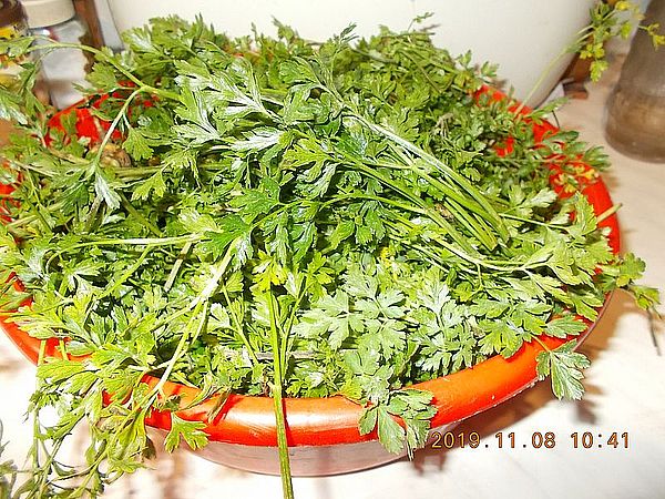 http://kepmester.silihost.hu/images/279/11070/00000115.jpg