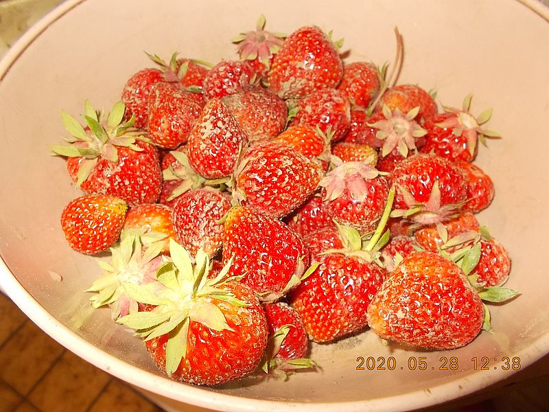 http://kepmester.silihost.hu/images/279/11070/00000244.jpg