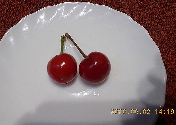 http://kepmester.silihost.hu/images/279/11070/00000251.jpg