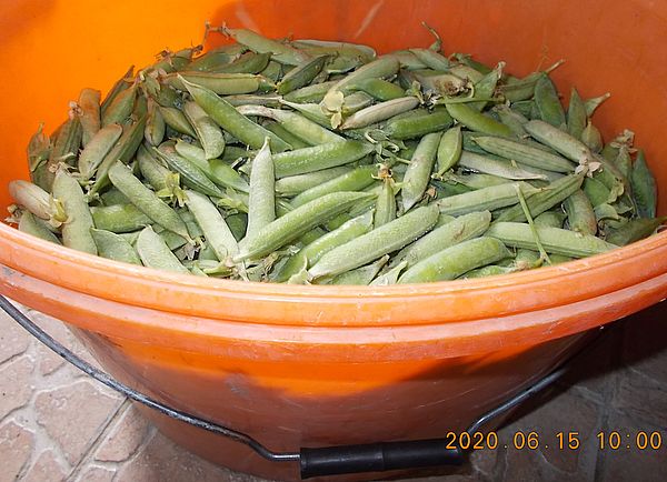 http://kepmester.silihost.hu/images/279/11070/00000266.jpg
