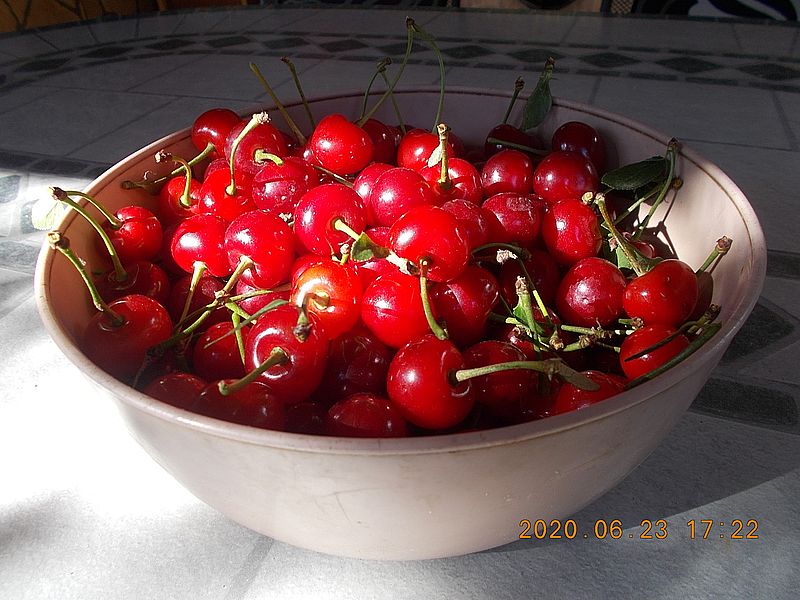 http://kepmester.silihost.hu/images/279/11070/00000274.jpg