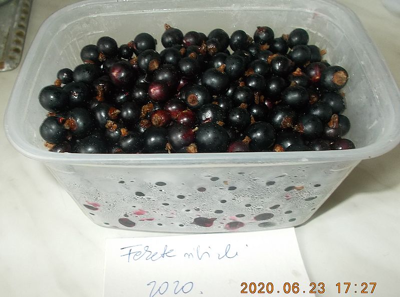 http://kepmester.silihost.hu/images/279/11070/00000275.jpg