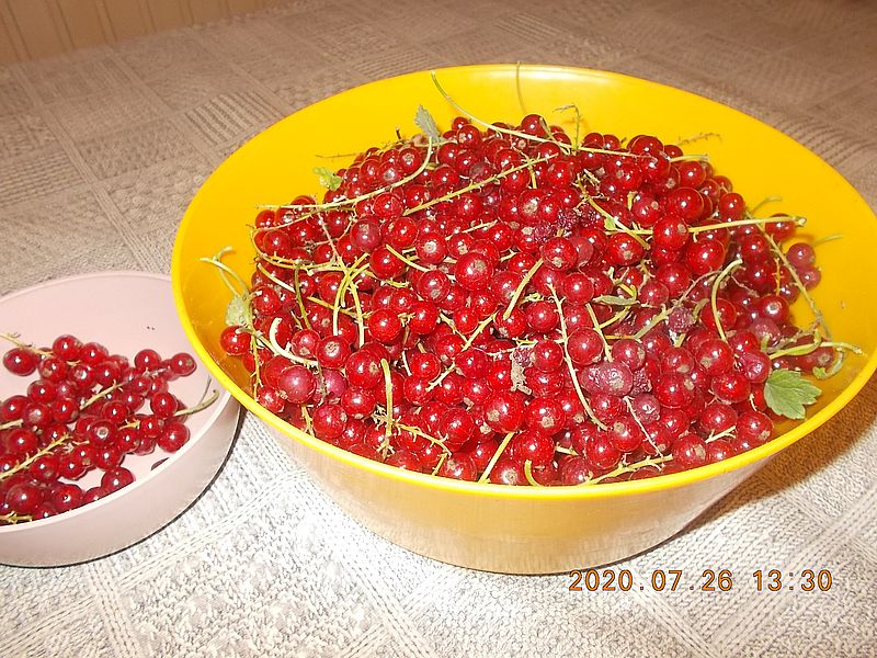 http://kepmester.silihost.hu/images/279/11070/00000289.jpg