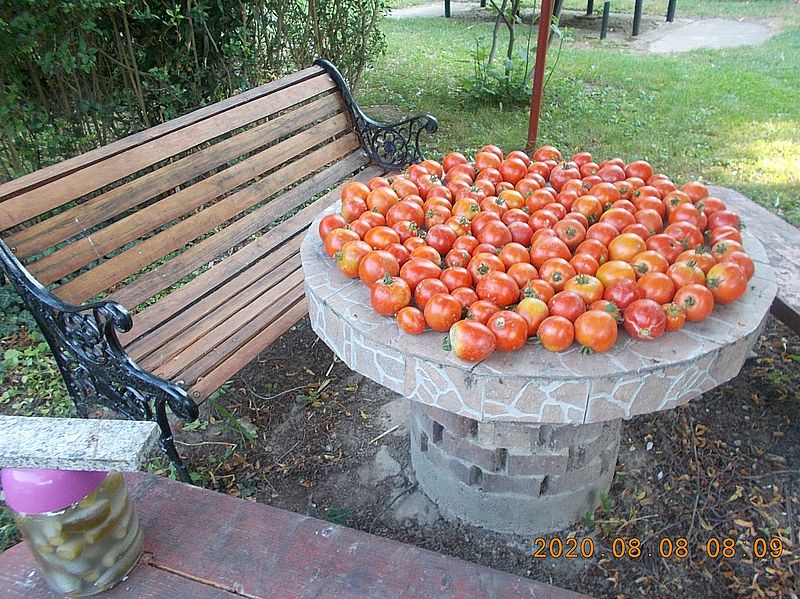 http://kepmester.silihost.hu/images/279/11070/00000295.jpg