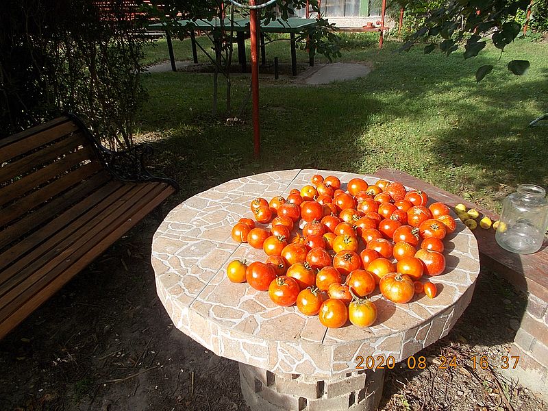 http://kepmester.silihost.hu/images/279/11070/00000302.jpg