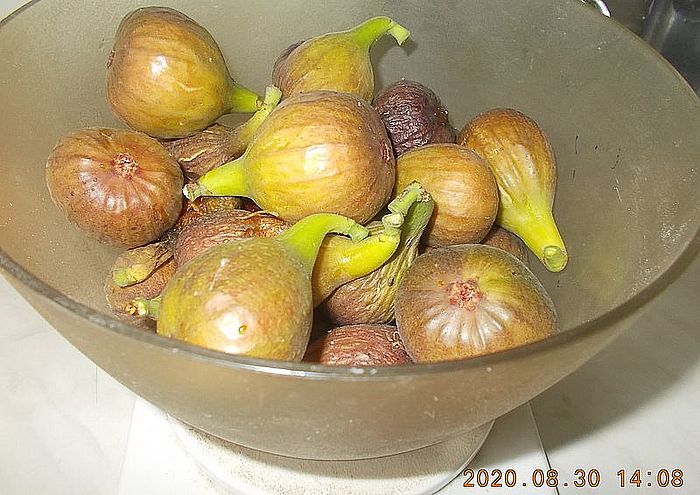 http://kepmester.silihost.hu/images/279/11070/00000306.jpg
