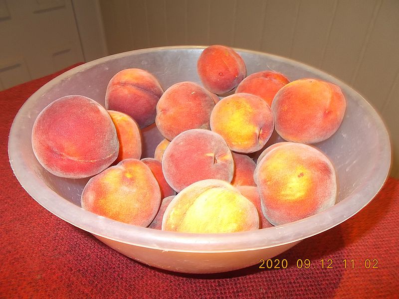 http://kepmester.silihost.hu/images/279/11070/00000313.jpg