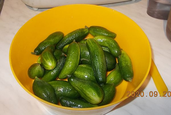 http://kepmester.silihost.hu/images/279/11070/00000320.jpg