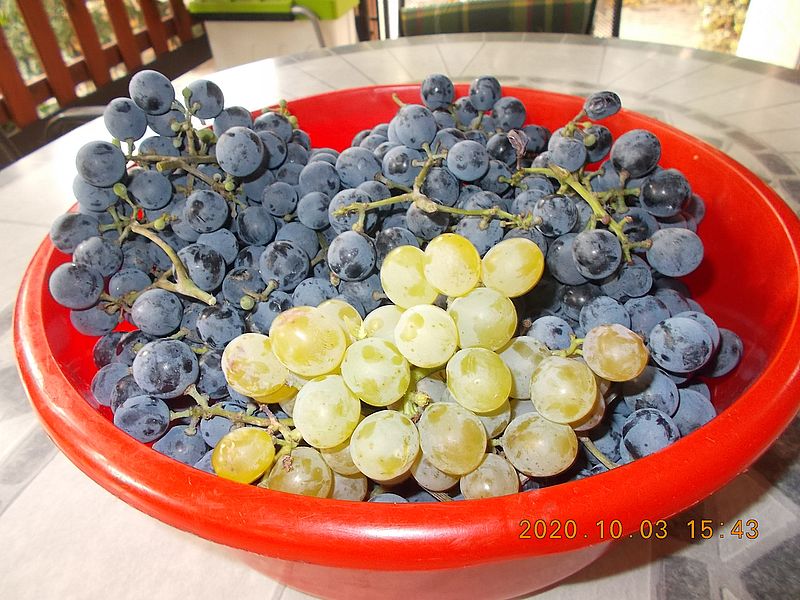 http://kepmester.silihost.hu/images/279/11070/00000329.jpg
