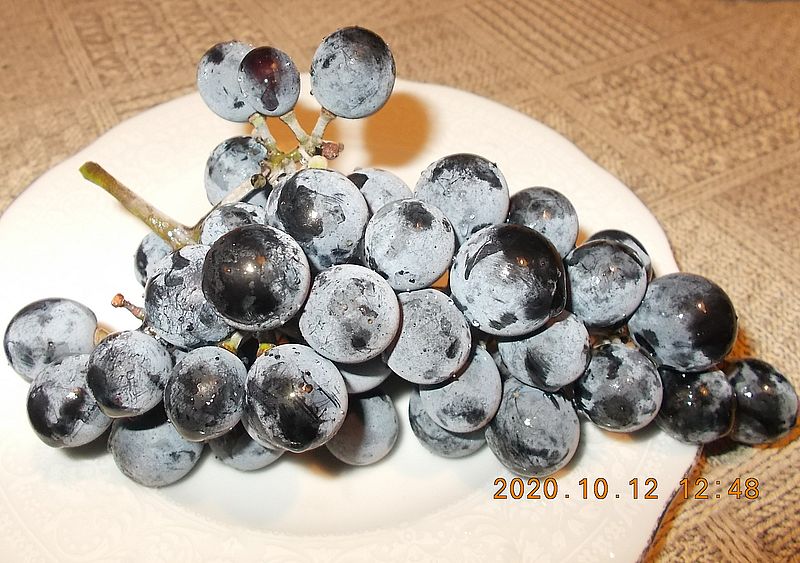 http://kepmester.silihost.hu/images/279/11070/00000332.jpg