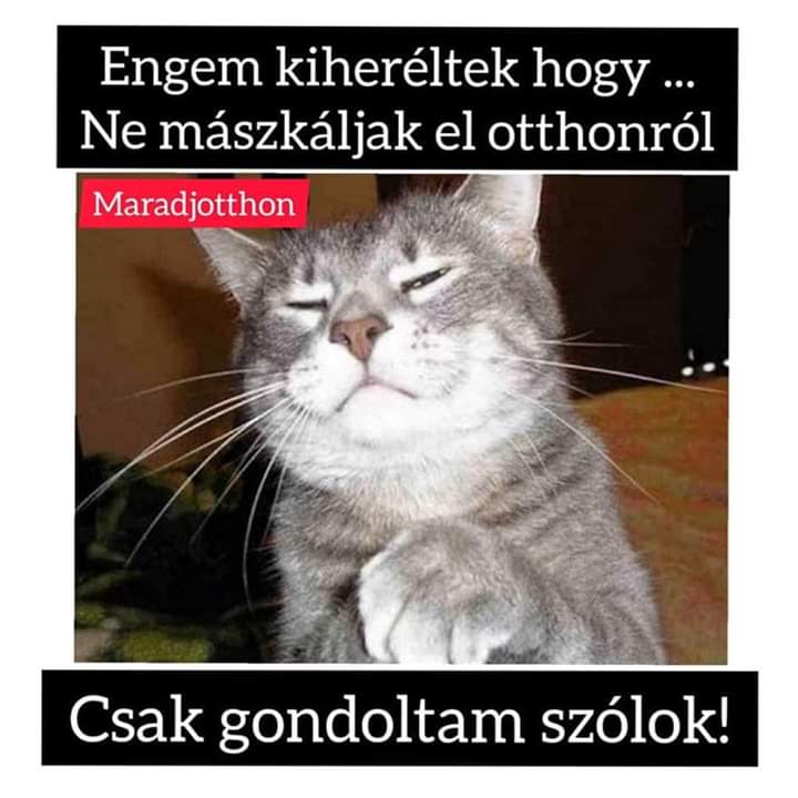 http://kepmester.silihost.hu/images/279/11093/00000016.jpg