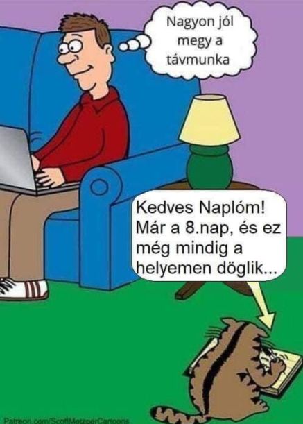 http://kepmester.silihost.hu/images/279/11093/00000036.jpg