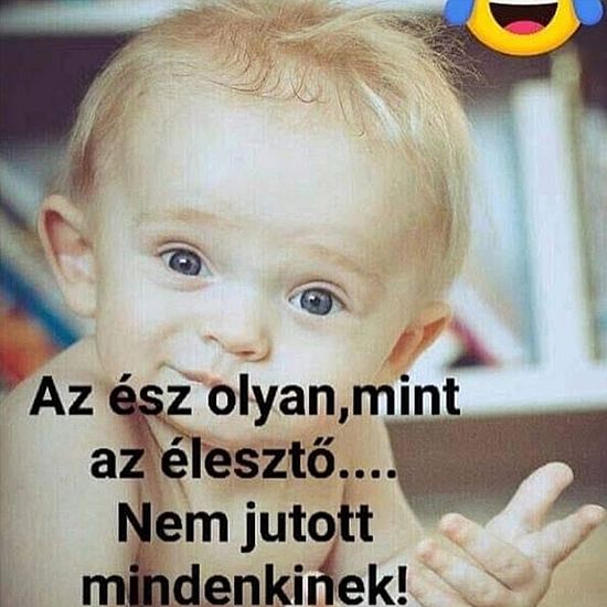 http://kepmester.silihost.hu/images/279/11093/00000043.jpg