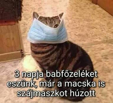 http://kepmester.silihost.hu/images/279/11093/00000051.jpg