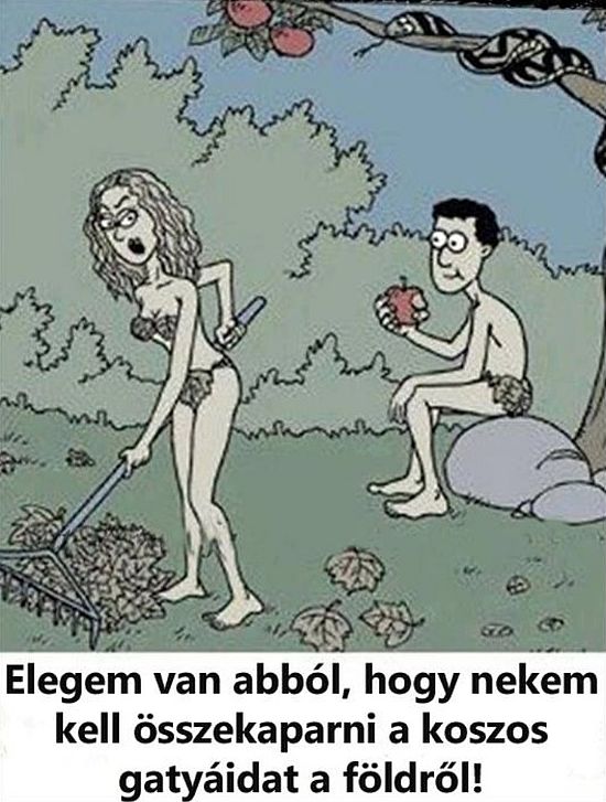 http://kepmester.silihost.hu/images/279/11093/00000072.jpg