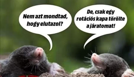 http://kepmester.silihost.hu/images/279/11093/00000105.jpg