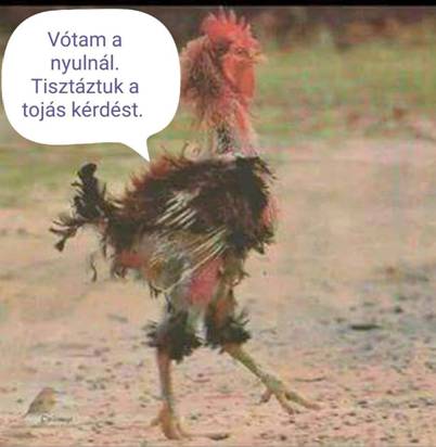 http://kepmester.silihost.hu/images/279/11093/00000111.jpg