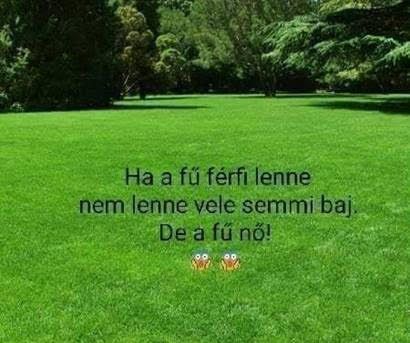 http://kepmester.silihost.hu/images/279/11093/00000132.jpg