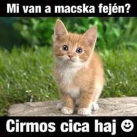 http://kepmester.silihost.hu/images/279/5664/00000051.jpg