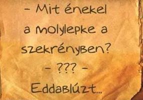 http://kepmester.silihost.hu/images/279/5664/00000052.jpg