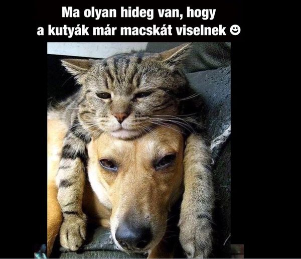 http://kepmester.silihost.hu/images/279/5664/00000063.jpg