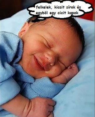 http://kepmester.silihost.hu/images/279/5664/00000070.jpg