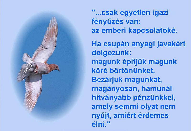 http://kepmester.silihost.hu/images/279/5664/00000334.jpg