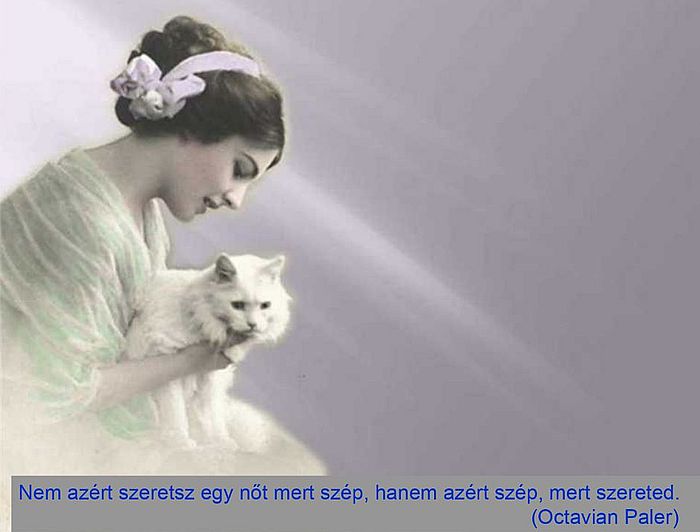 http://kepmester.silihost.hu/images/279/5664/00000356.jpg