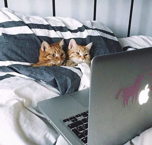 http://kepmester.silihost.hu/images/279/5665/00000020.jpg