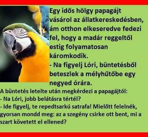 http://kepmester.silihost.hu/images/279/5665/00000031.jpg