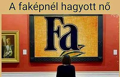 http://kepmester.silihost.hu/images/279/5665/00000073.jpg