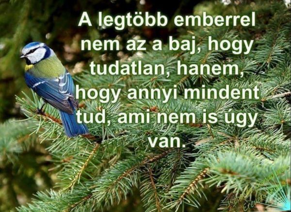 http://kepmester.silihost.hu/images/279/5665/00000100.jpg