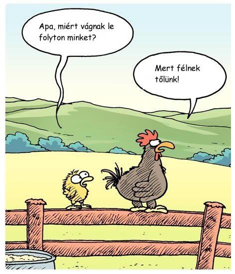 http://kepmester.silihost.hu/images/279/5665/00000109.jpg