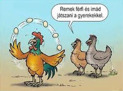 http://kepmester.silihost.hu/images/279/5665/00000112.jpg